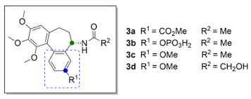 Molecules Free Full Text Mitotic Poisons In Research And Medicine Html