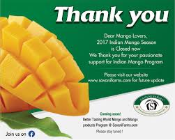 Buy Safely Ripened And Carbide Free Mangoes At Savanifarms Com Organically Grown Wide Range Of Mangoes Farm Fresh Mangoes A Mango Mango Online Mango Fruit