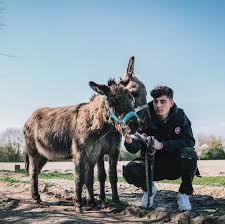 Learn about kai havertz girlfriend: 10 Facts You Don T Know About Champions League Winner Kai Havertz