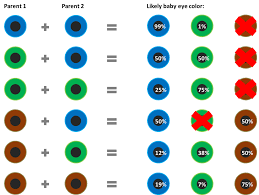 I come from a long generation of blue eyed/green. 3 Facts About Eye Color Genetics Eye Color Chart Eye Color Chart Genetics Baby Eye Color Chart