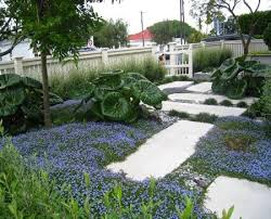 Kirsten Sach Landscape Design Ltd Landscape Designer Garden Consultation Planting Plans Rain Small Garden Design Landscape Design Landscape Architecture Design