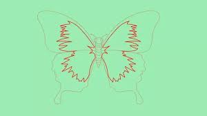Sketsa kupu kupu adalah salah satu gambar dasar dini yang belum jadi, umumnya ia digoreskan dengan menggunakan media pensil dan sejenisnya. Cara Menggambar Kupu Kupu 14 Langkah Dengan Gambar Wikihow