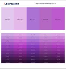 It applies particularly to the color of the flower of the same name. 160 Latest Color Schemes With Lavender And Lavender Color Tone Combinations 2021 Icolorpalette