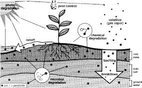 Pest control jobs are for eliminating any insect or animal that would be considered a pest. Wq 19