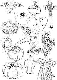 Dessin De Legume 4 Cliquez Pour Imprimer Coloriage Fruits Coloriage Dessin Legumes