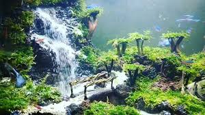 Beautiful Sand Waterfall In Nature Tank Aquarium Fish Tank Tropical Fish Tanks Aquascape Aquarium