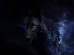 Black And Grey Wolf With Blue Eyes Black Beauty With Blue Eyes Desktop Nexus Wallpapers Wolf With Blue Eyes Black Wolf Wolf Wallpaper