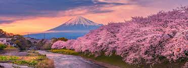 See the wide variety of important cultural sites firsthand all the while marveling at the technological advances seamlessly integrated into everyday life. 10 Best Wildlife Landscapes And Nature Tours In Japan Compare Prices And Reviews Bookmundi