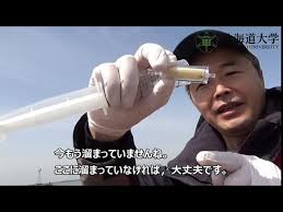 (Eng sub) 4 eDNA濾過編 (eDNA④ Filtration in the Field)
