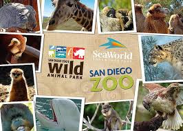 Collage Of Images From The Wild Animal Park The San Diego Zoo And Sea World Credits Heatherann Designs Templ Wild Animal Park San Diego Zoo Animals Wild