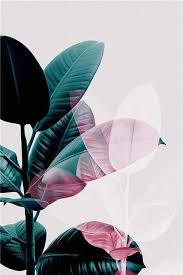 A picture will also show the difference between. Modern Leaf Plant Picture Nordic Home Decor Canvas Art Painting Wall Art Minimalist Print And Poster For Fresh Living Room Decor 13x18cm No Frame C Dczw04 4k Best Of Wallpapers