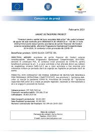 Model Proiect Fonduri Europene Educatie Jasdkn