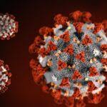 Identifying the Difference Between Bird Flu, RSV, and COVID II