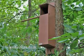 Having a camera inside a nesting box can be tremendously rewarding; Tawny Owl Box With Camera Gardenature