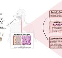 Breaking down the complex pathophysiology of eosinophilic ...
