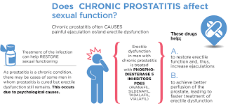 Nearly all men will experience some erectile dysfunction for the first few months after prostate cancer treatment. Prostate Is It An Ally Or An Enemy In Sex Isud