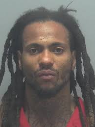 Lee County Arrests 2/13