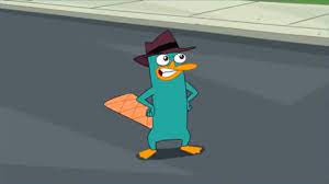 Perry the platypus, aka agent p, is one of the main characters of the disney animated series phineas and ferb. Perry The Platypus Phineas And Ferb Wiki Fandom