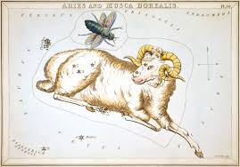 We did not find results for: Aries Constellation Wikipedia
