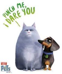 Petsmart is proud to be part of so many communities! 57 The Secret Life Of Pets Ideas Secret Life Of Pets Secret Life Pets