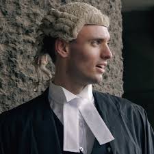 Protecting Animals Through Education: Animal Equality Blog