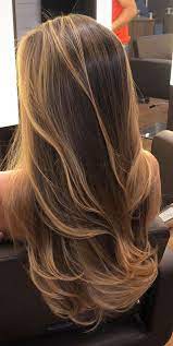 14 Winter Hair Colors For Brunettes Easy Winter Hair Care Tips Brown Hair Balayage Balayage Hair Hair Inspo Color