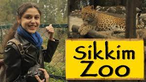 Sikkim has many hot springs known for their therapeutic value. Himalayan Zoological Park Gangtok Sikkim Youtube
