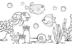 Sketsa gambar ikan menjadi topik utama kali ini. Cara Menggambar Ikan Darat Maupun Laut Paling Mudah Terlengkap Baru