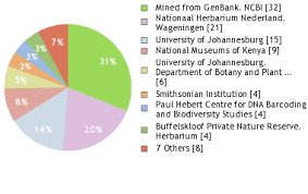 Image result for Ochna cinnabarina