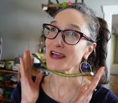 I'm looking for advice. I'd like to create a hoop house for a 6ftX6ft  garden bed. Similar to the image below, I'd like it to lift vertically,  using either a pulley system