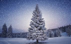1000 Best Christmas Mac Wallpapers Free Hd Download Allmacwallpaper