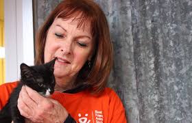 Cat and Kitten Volunteer