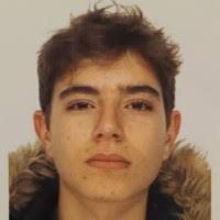 40+ profils pour “Sansone*”