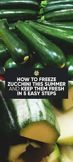 Drain them and dry any excess water off by spreading them out on a paper towel. How To Freeze Zucchini And Keep Them Fresh In 5 Easy Steps Freezing Zucchini Zucchini Frozen Vegetables