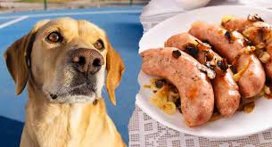 However, there are many different kinds of beans, and some of them are healthier than others. Can Dogs Eat Pork A Guide To Pork Bones Ribs And Meat For Dogs