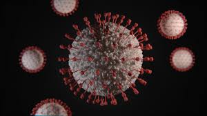 Marburg virus: What is it, where is it, are there vaccines? | World  Economic Forum