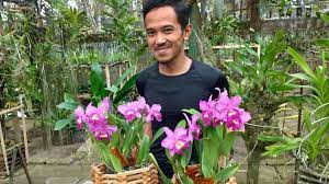 Check spelling or type a new query. Cara Merawat Anggrek Sesuai Jenisnya Termasuk Menyelamatkan Anggrek Yang Hampir Mati Juga