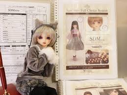 スーパー ドルフィー フル チョイス レポ