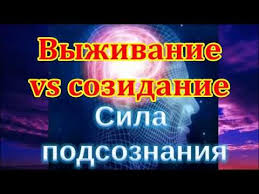 джо диспенза как изменить жизнь за 4 недели медитация 5gl Dzho Dispenza Sila Podsoznaniya Ili Kak Izmenit Zhizn Za 4 Nedeli Youtube