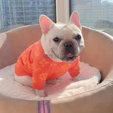 Cute french bulldog dog collar. Pawtton Orange Gray Designer Dog Sweater Supreme Dog Garage
