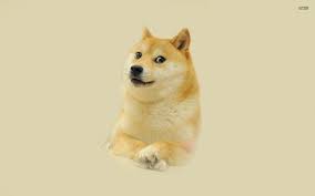 A collection of the top 47 doge wallpapers and backgrounds available for download for free. 47 Doge Meme Wallpaper On Wallpapersafari