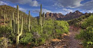 1070 east ray road # 20, chandler. Chandler House Rentals From 52 Hometogo