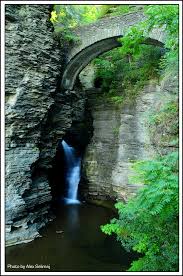 Real Nature Beauty C All Rights Reserved All Your Comment Flickr Enjoy the relaxing beauty and colors of underwater life with a sea turtle reef giclee print for glass decorating your glass door or window.