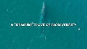 Adrian Marchetti, UNC Associate Professor, Marine Sciences