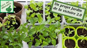 Pour faire le tri, on réfléchit à notre façon de l'utiliser, de s'y promener, à ce qu'on aimerait y trouver et à notre budget. Votre Premier Semis De Legumes A L Interieur Jardinier Paresseux