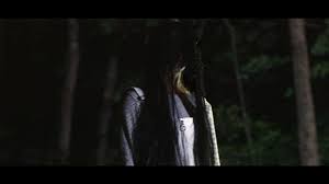 They say it has been haunted ever since a mother poisoned her two sons in there many decades ago. Review The Greatest Horror Film Ever Made Wreak Havoc Horror Film Festival Comedy Short Serves As A Satirical Primer On How To Or How Not To Make A Horror Film