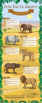Fun Facts About The Big Five Animal Facts For Kids Africa Craft Africa Infographic