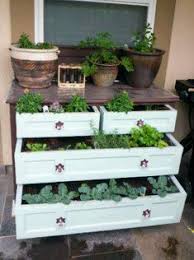 after introducing his overweight girlfriend to mauricio hal: Sasha Grime Sushichick6 Profile Pinterest