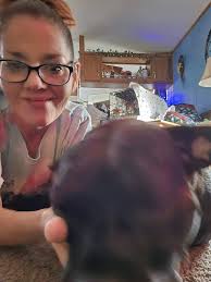 Rehoming my rescue dog💖