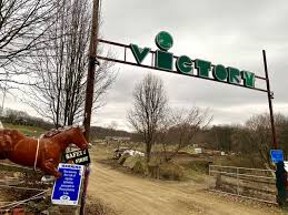 A runaway circus camel caused traffic chaos and trespassed onto the ninth green of a military golf course before bemused australian police recaptured it monday. Zebra Camel Ok D For Victory Stables In Washington Township Triblive Com
